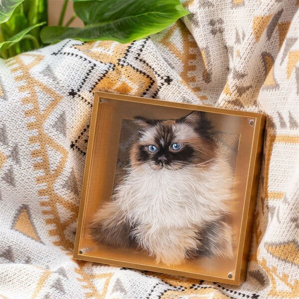 3D Glass Pet Portrait-one pet