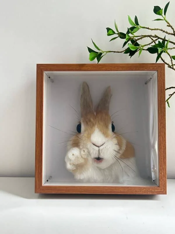 3D Glass Pet Portrait-one pet - Image 6