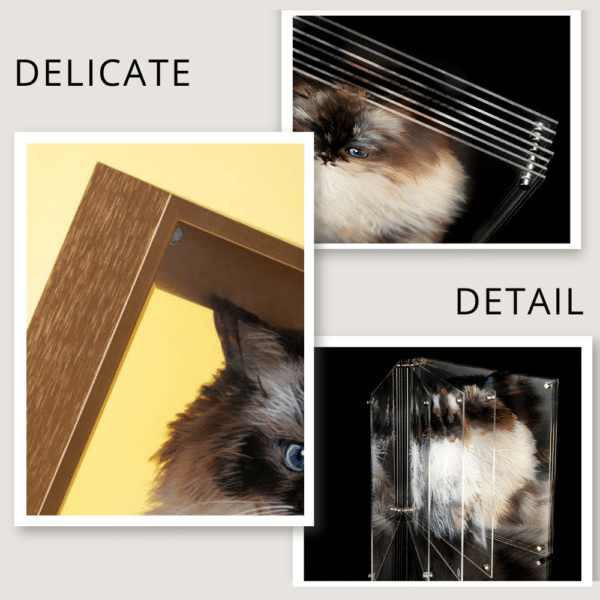 3D Glass Pet Portrait-one pet - Image 7