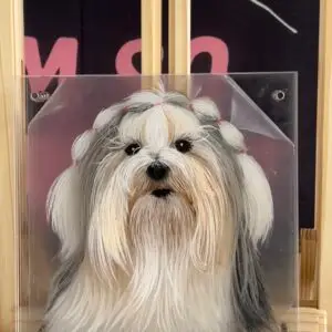 unique-pet-memorial-3d-glass-portrait.