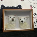 3D Glass Pet Portrait-one pet photo review