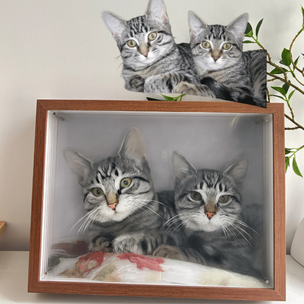 3D glass pet portrait-two pet - Image 2