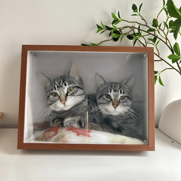 3D glass pet portrait-two pet