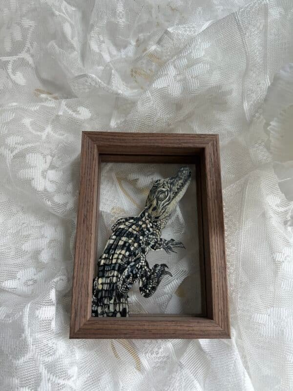 3D glass pet portrait-single layer - Image 4