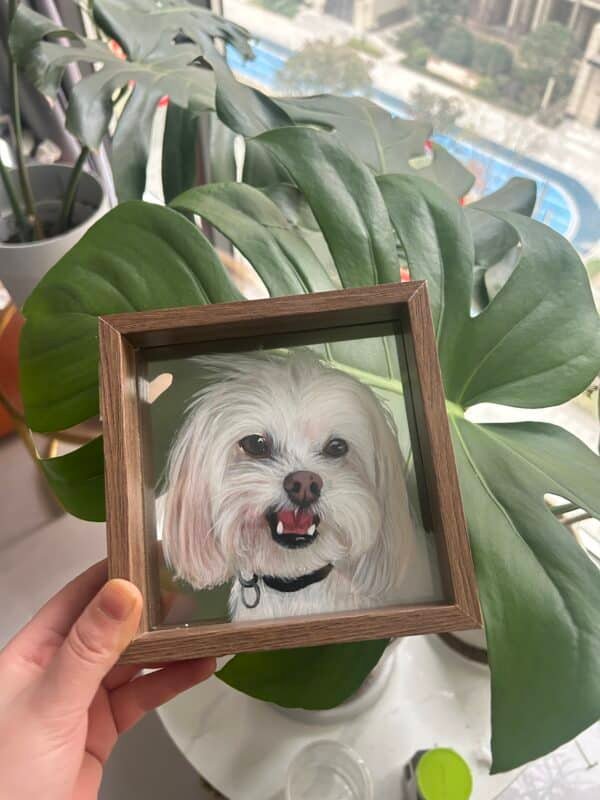 3D glass pet portrait-single layer - Image 7