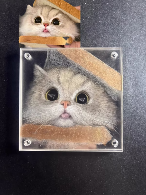 3D glass pet portrait-Mini portable - Image 4
