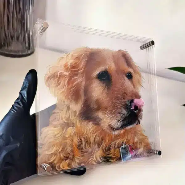 3D glass pet portrait-Mini portable