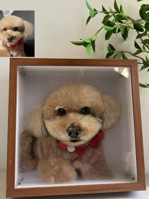 3D glass pet portrait of dog and cat, custom memorial gift