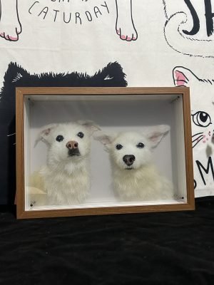 3d-glass-pet-portrait-two-pets-dog-cat